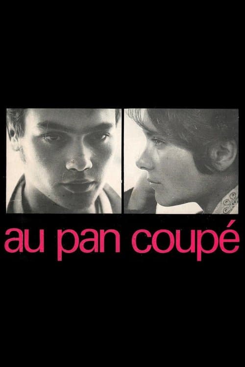 Постер: Au pan coupé