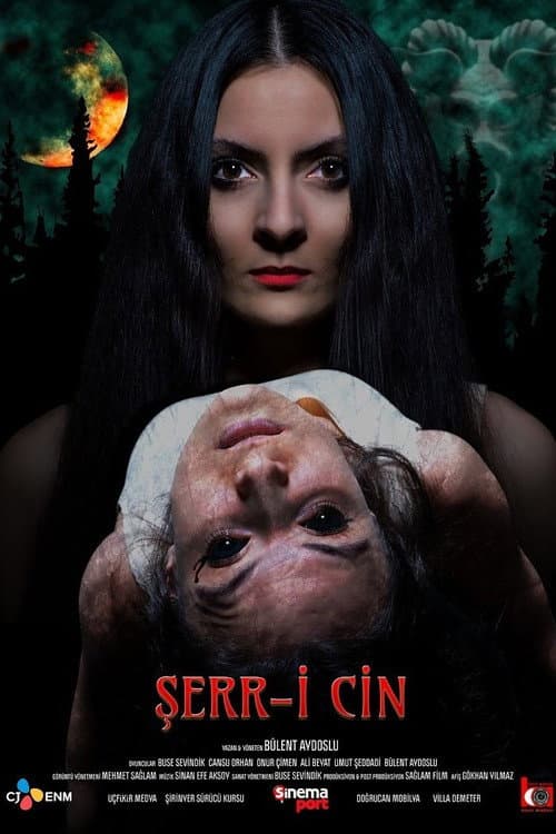 Постер: Şerr-i Cin