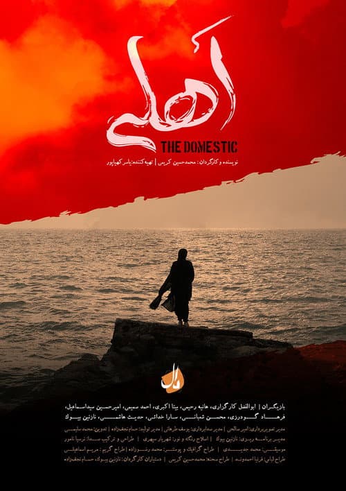 Постер: اهلی