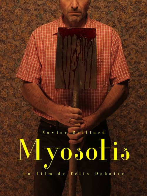 Постер: Myosotis