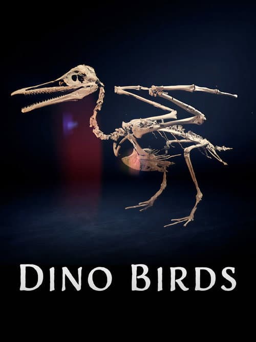 Постер: Dino Birds