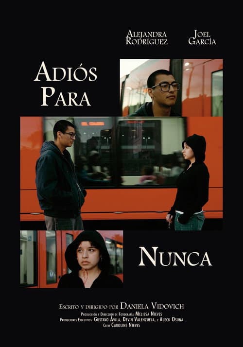 Постер: Adiós Para Nunca