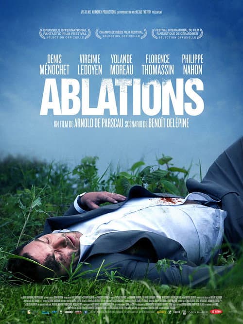 Постер: Ablations