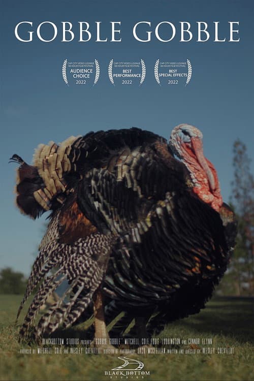 Постер: Gobble Gobble