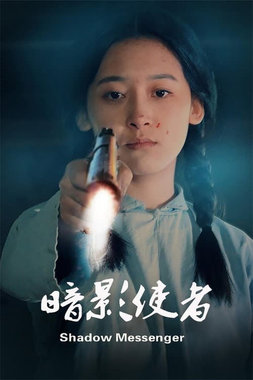 Постер: 暗影使者