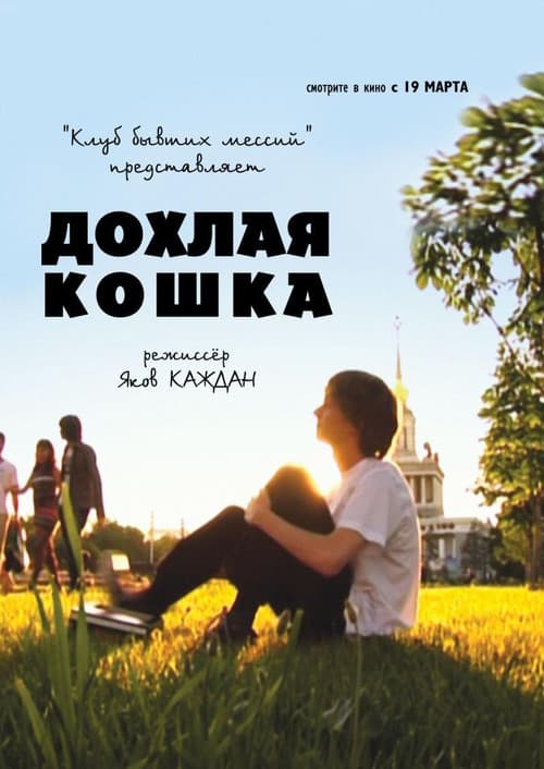 Постер: Дохлая кошка