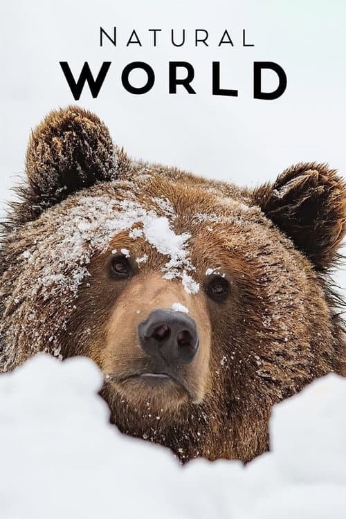 Постер: France: The Wild Side