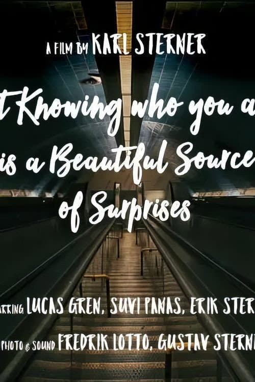 Постер: Not knowing who you are is a beautiful source of surprises