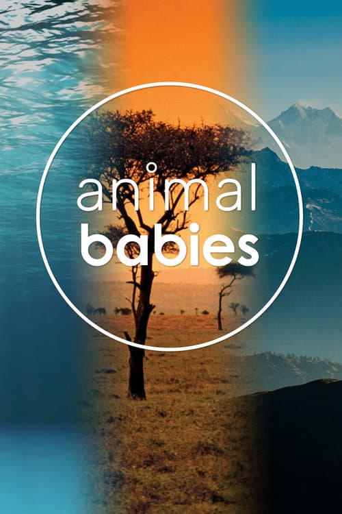 Постер: Animal Babies