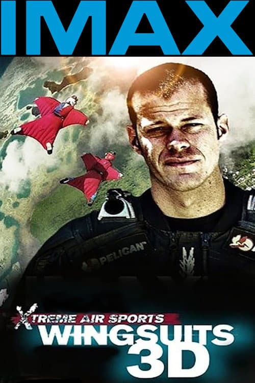 Постер: Wingsuit Warrior