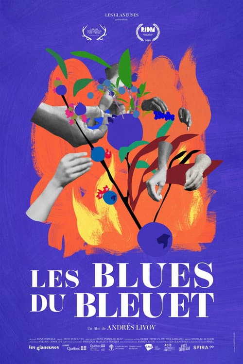 Постер: Les blues du bleuet