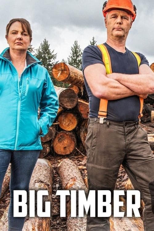 Постер: Big Timber
