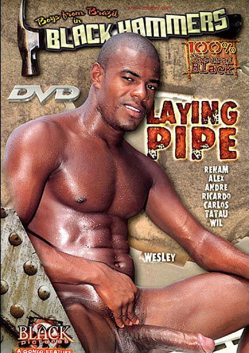 Постер: Laying Pipe