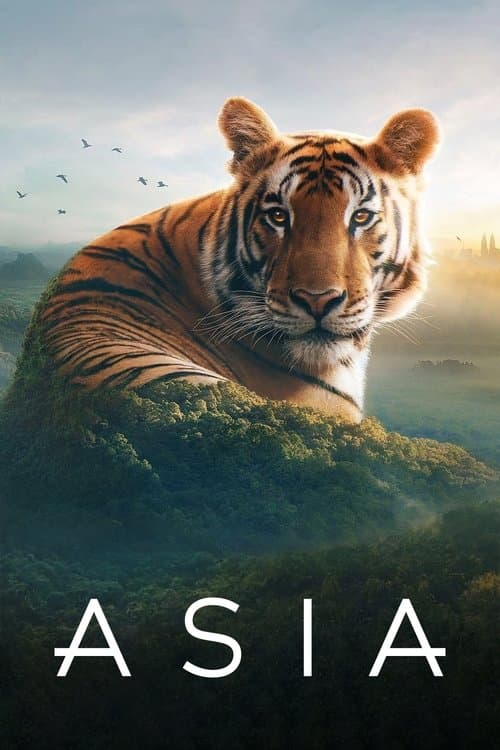 Постер: Asia