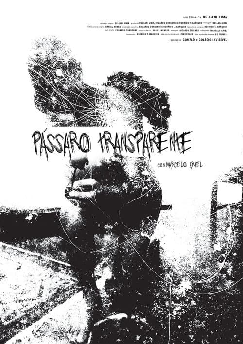 Постер: Pássaro Transparente