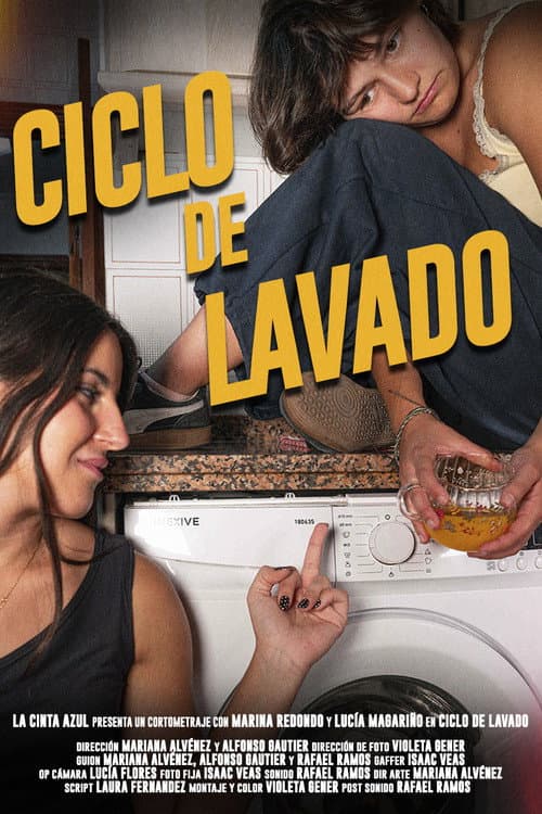 Постер: Ciclo de Lavado