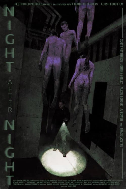 Постер: Night After Night