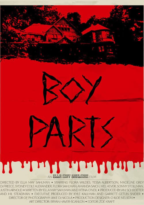 Постер: Boy Parts