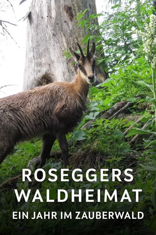 Постер: Roseggers Waldheimat - Ein Jahr im Zauberwald