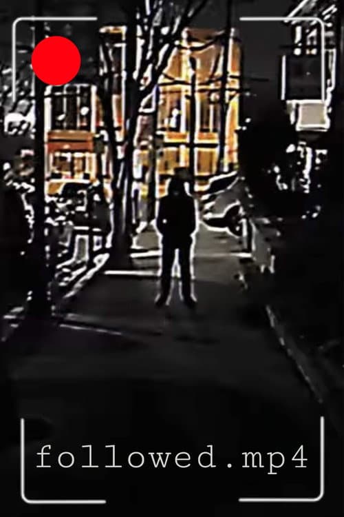 Постер: followed.mp4