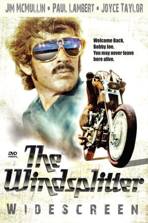 Постер: The Windsplitter