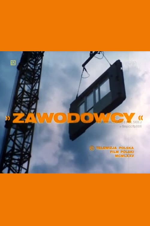 Постер: Zawodowcy