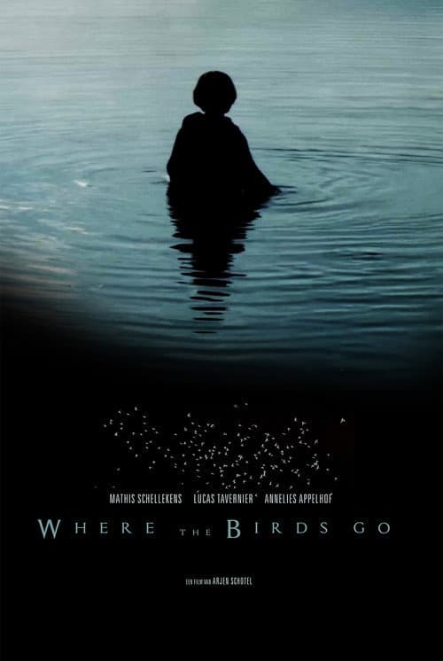 Постер: Where the birds go