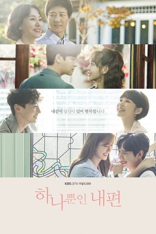 Постер: 하나뿐인 내편