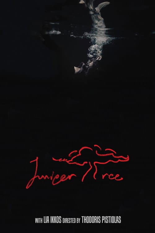 Постер: Juniper Tree