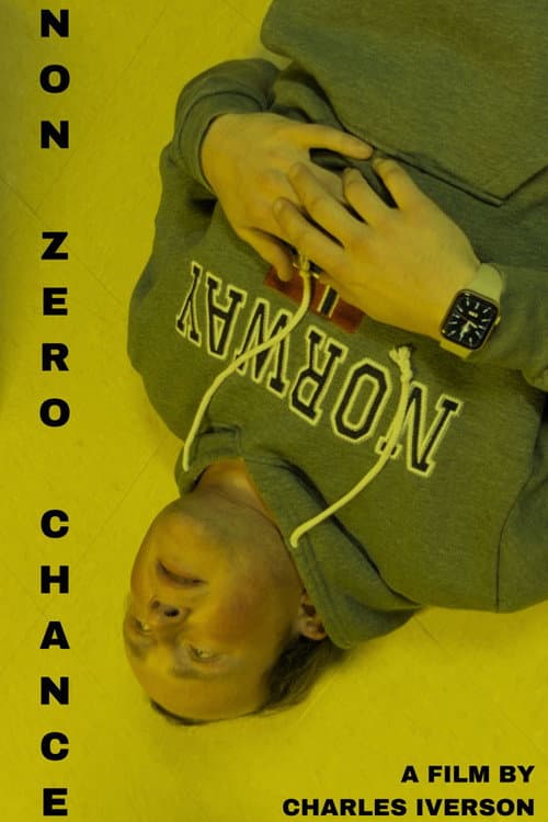 Постер: Non Zero Chance