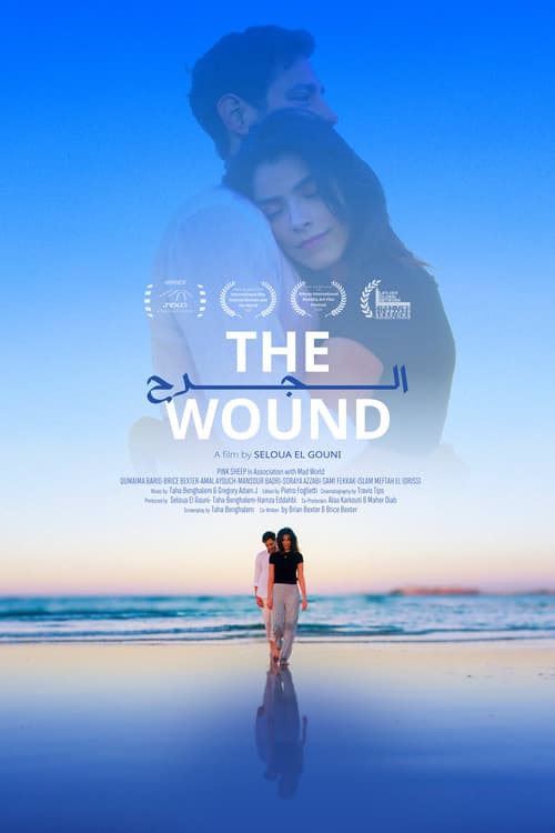 Постер: The Wound