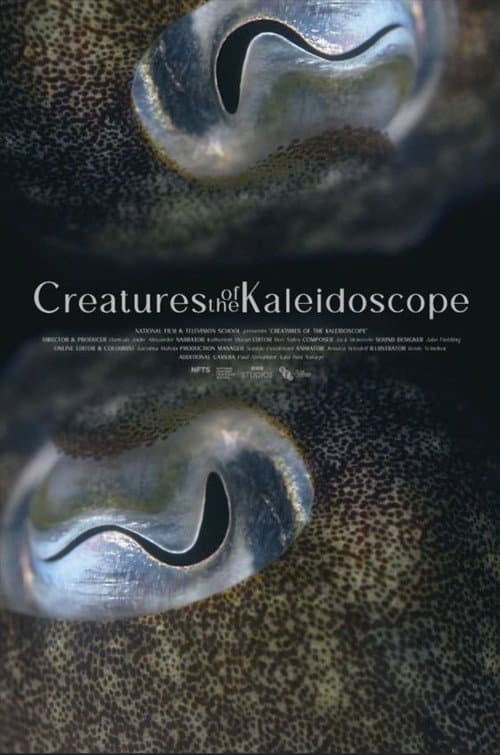 Постер: Creatures of the Kaleidoscope