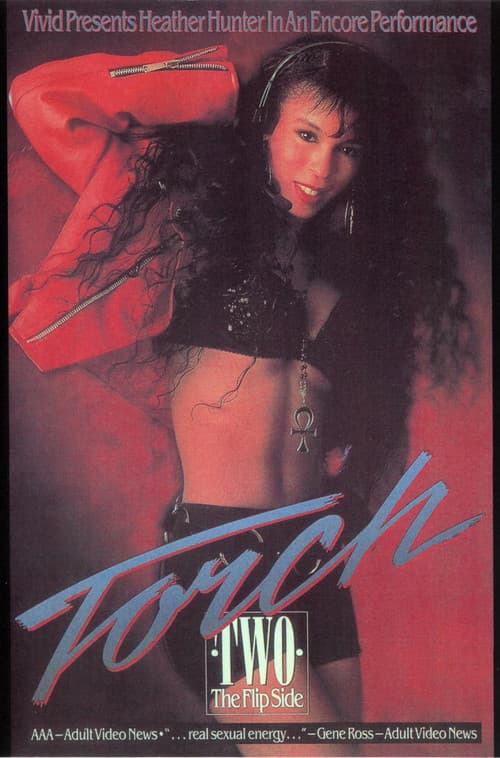 Постер: Torch 2