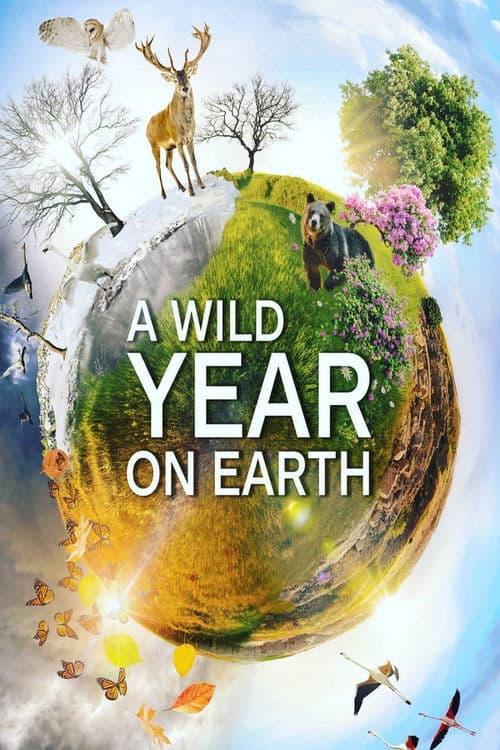 Постер: A Wild Year On Earth