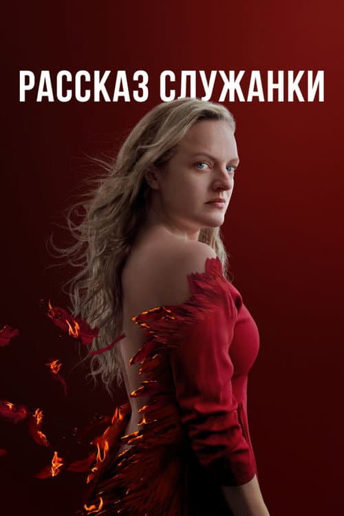 Кадр 3