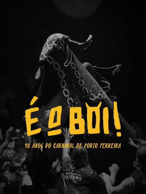 Постер: É o Boi