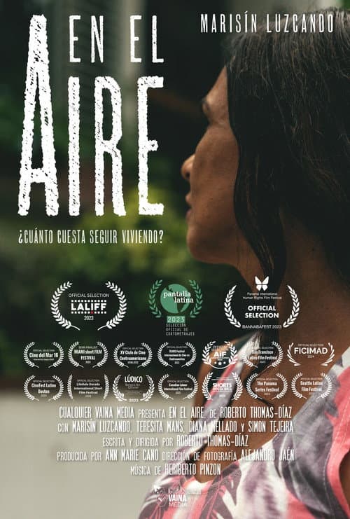 Постер: En el aire