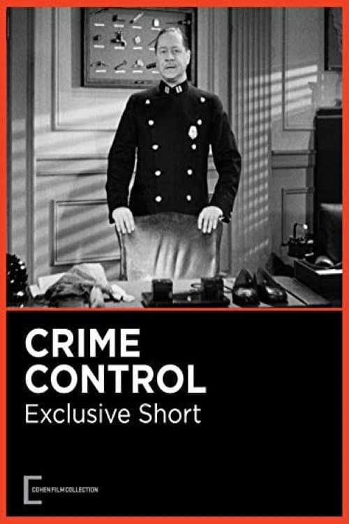 Постер: Crime Control