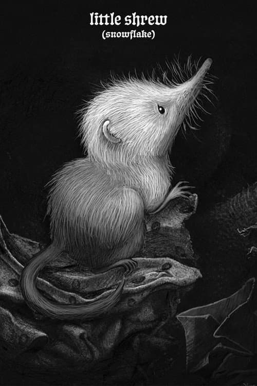Постер: Little Shrew (Snowflake)