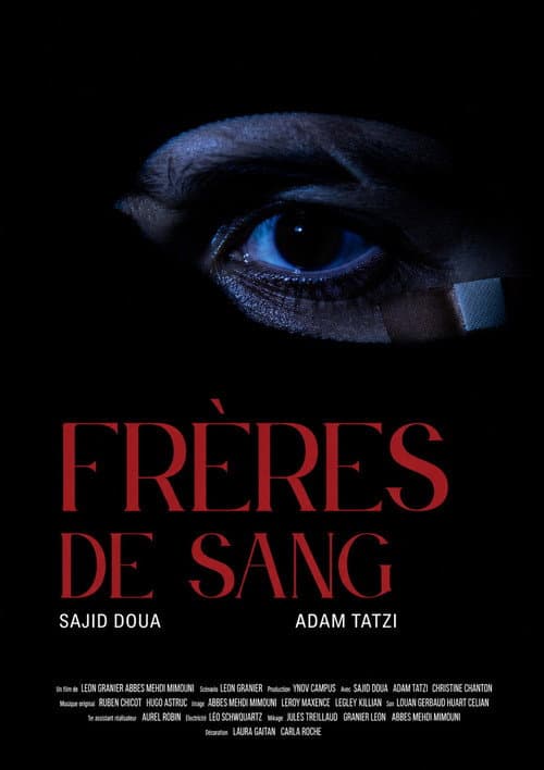 Постер: Frères de sang