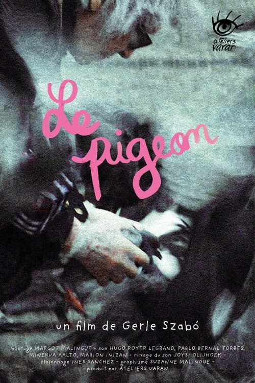 Постер: Le pigeon