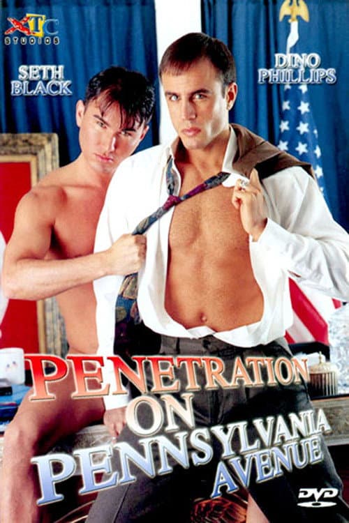 Постер: Penetration on Pennsylvania Avenue