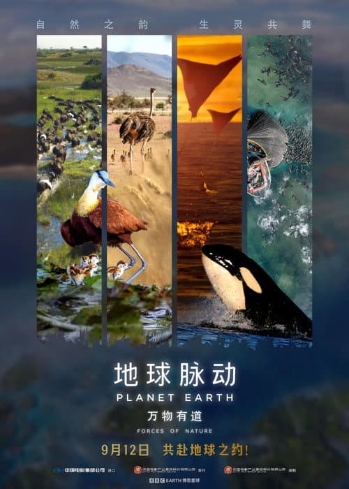 Постер: Planet Earth: Forces of Nature