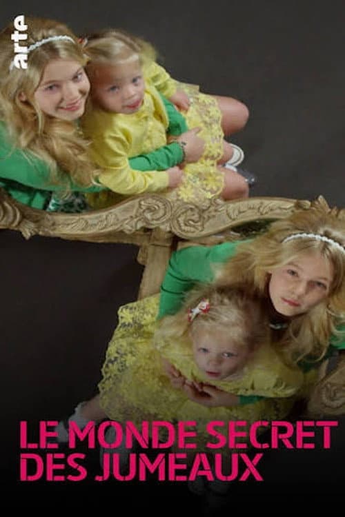 Постер: Secret Life of Twins