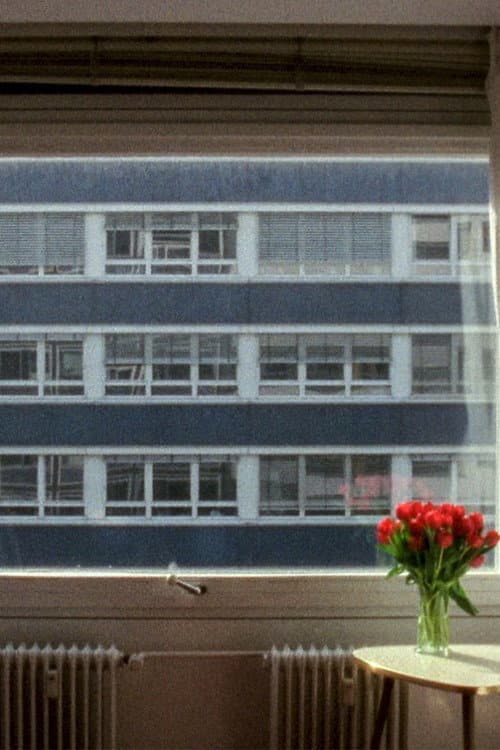 Постер: 21,3 °C