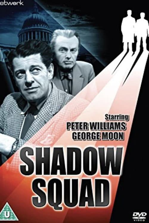 Постер: Shadow Squad