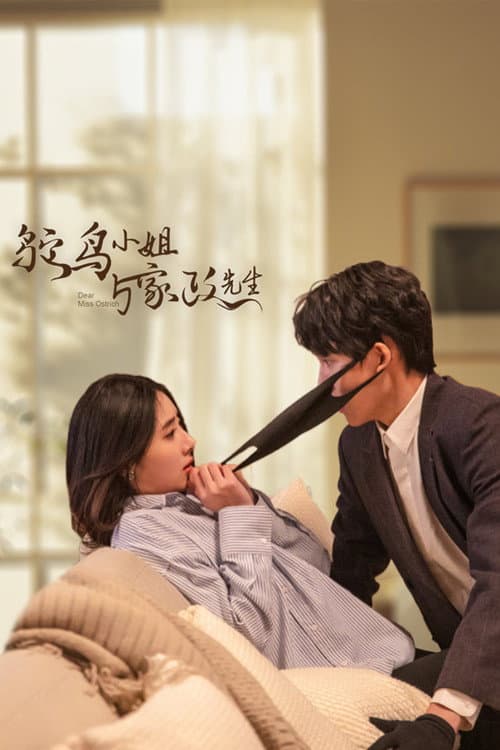 Постер: 鸵鸟小姐与家政先生