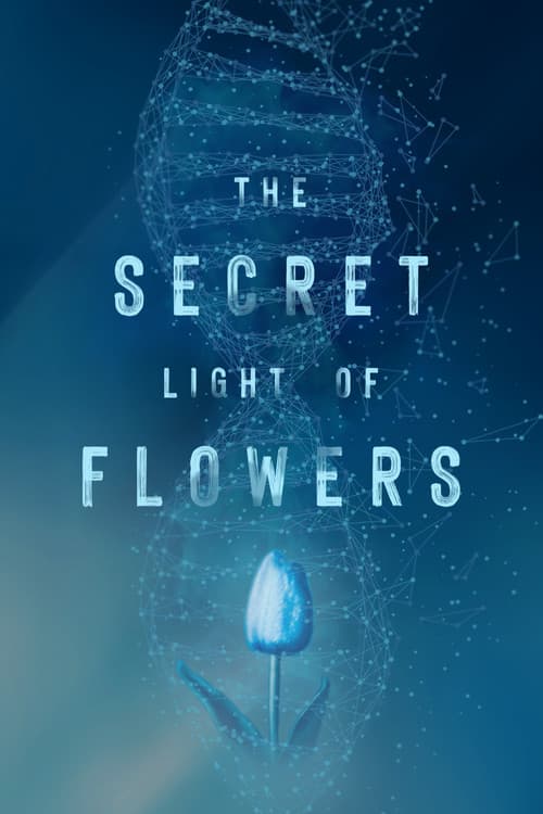 Постер: The Secret Light of Flowers