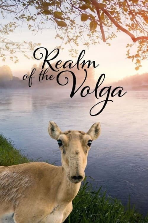 Постер: Im Reich der Wolga