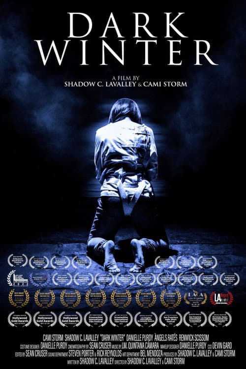 Постер: Dark Winter
